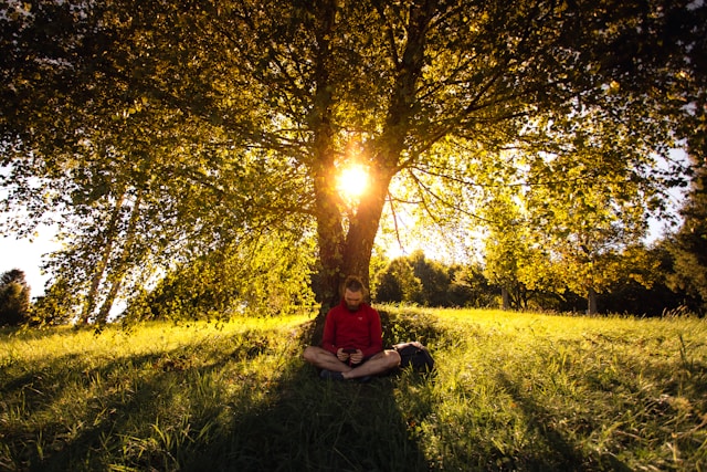Meditación y equilibrio